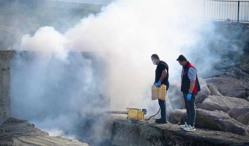 Giresun Belediyesi sahil bölgesi menfezlerini ilaçladı