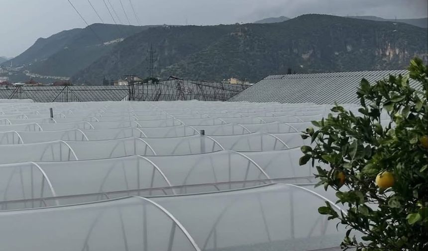 Antalya Demre’de hortum seraları vurdu