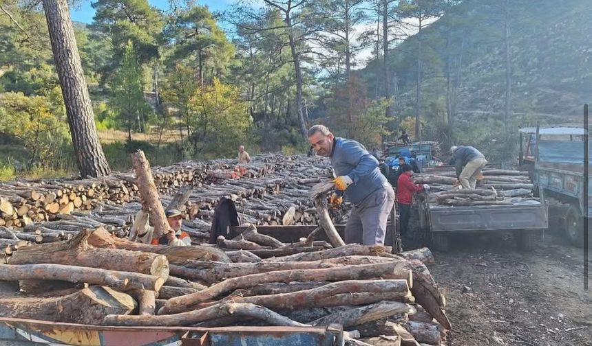 Sarıbelen’de yakacak odun dağıtımı tamamlandı