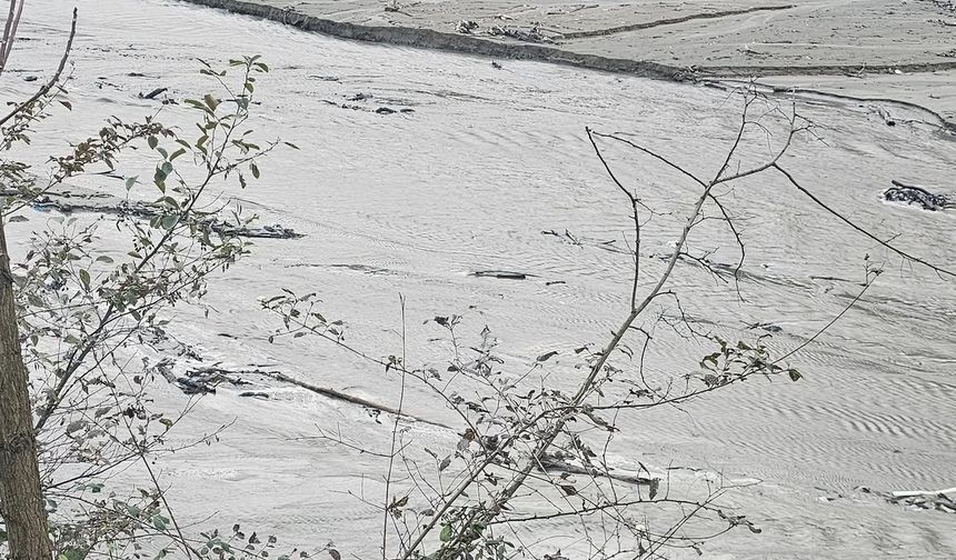 Harşit Çayı'nda tehlike çanları çalıyor