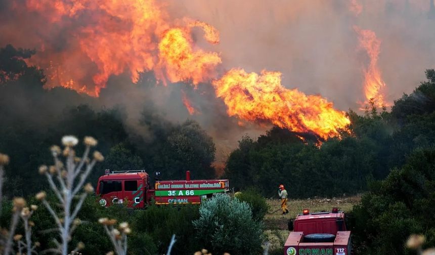 Minibüsten ormana sıçrayan yangın davası: 4 sanığa 7 yıla kadar hapis istemi