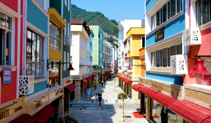 Ordu'da dış cephe seferberliği