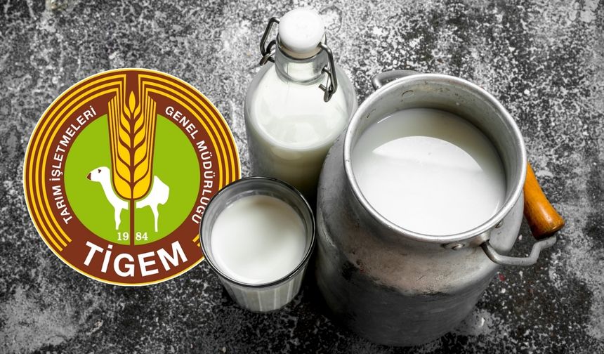 TİGEM 2026 yılı için 74 bin 665 ton sütü ihaleyle satacak