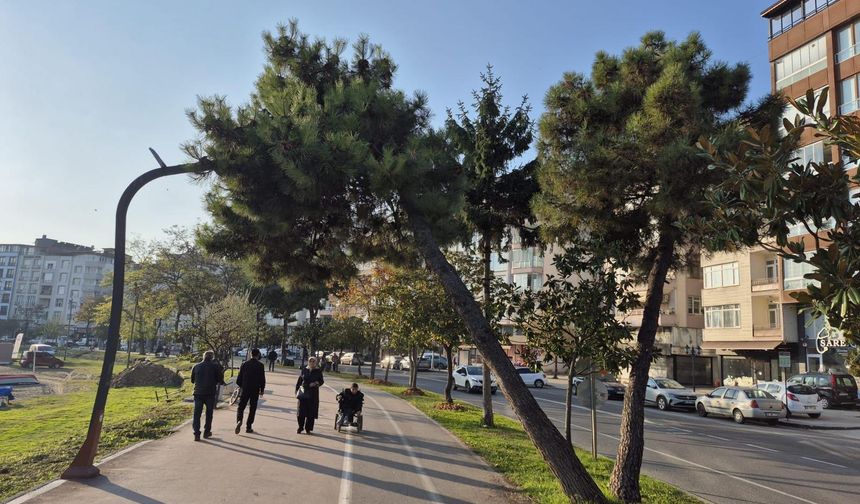 Öncelik can güvenliği