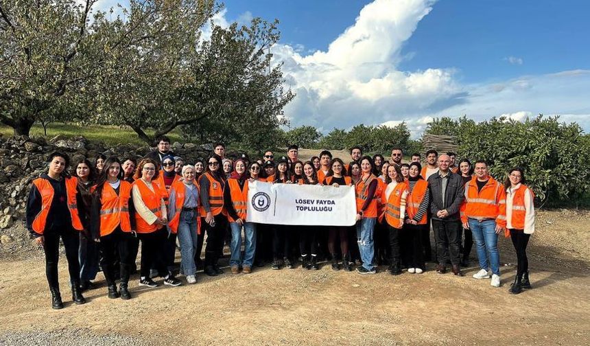 ADÜ öğrencileri LÖSEV için mandalina hasadı yaptı