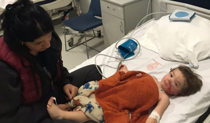 Ankara'da pitbull iki kardeşe saldırdı: Köpeğin sahibi gözaltına alındı