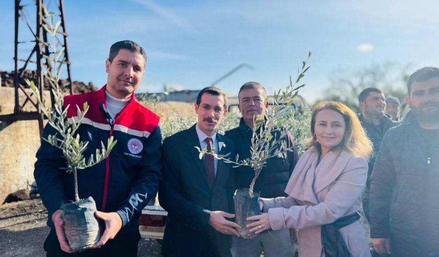 Bozdoğan'da 8 bin 700 fidan dağıtıldı