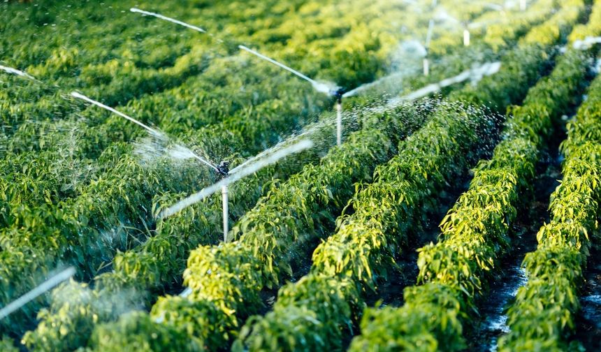 DAP Bölge Kalkınma İdaresi 12 yılda 2 bin 86 projeye destek verdi