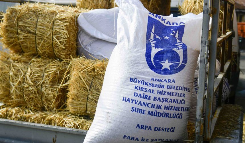 ABB’nin kırsal kalkınma destekleri sürüyor