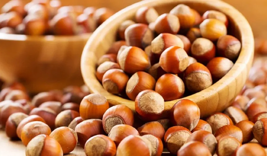 Fındık fiyatları tepetaklak gidiyor