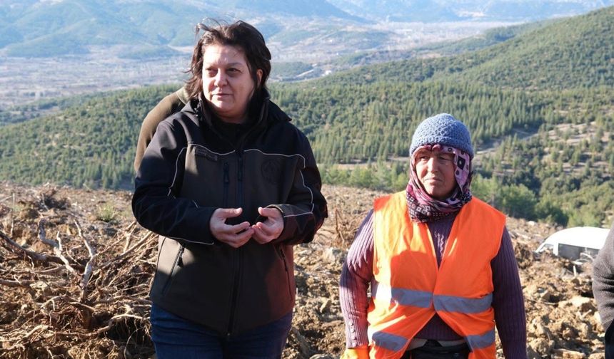 Ağlasun’da endüstriyel ağaçlandırma ile yeşil vatan güçleniyor