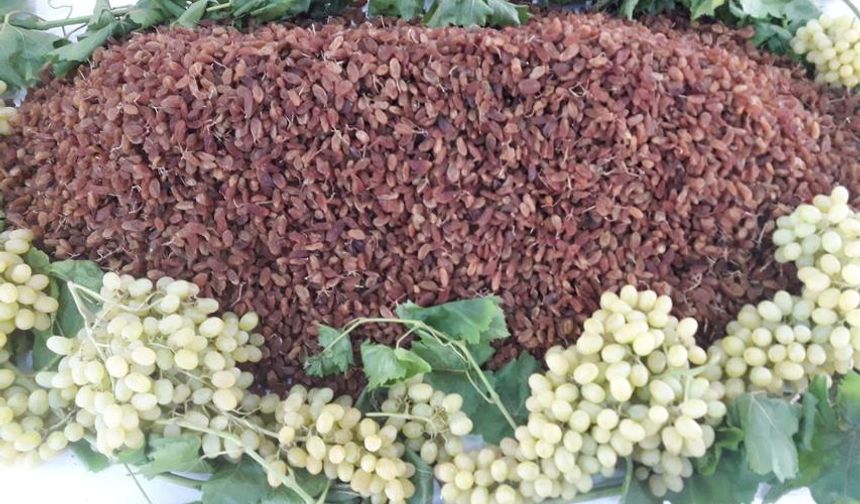 Dünya kuru üzüm piyasasında dengeler değişiyor