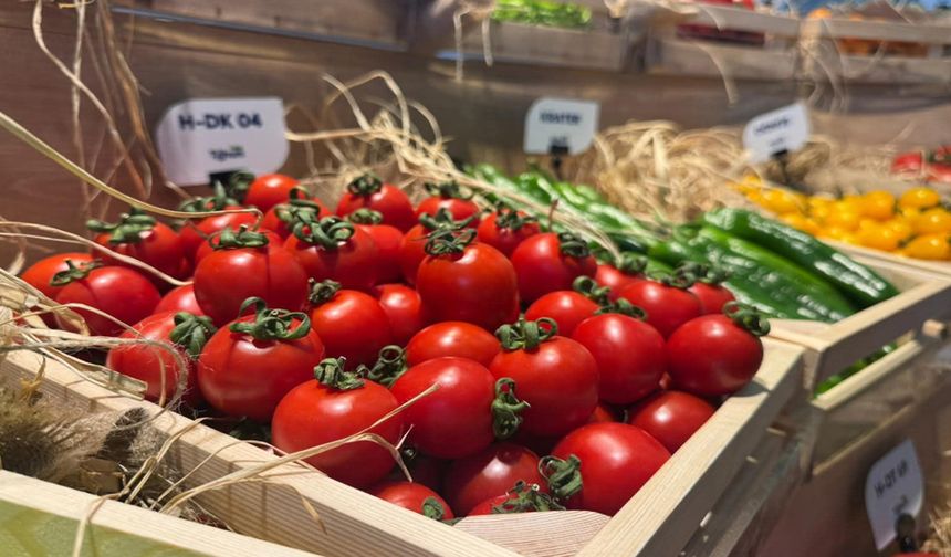 Türkiye tohumda ihracatçı ülke konumunu güçlendirdi