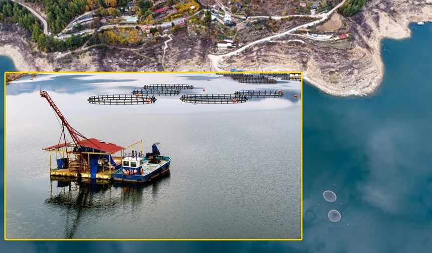 Karacaören Barajı’nda balıkçılık canlanıyor