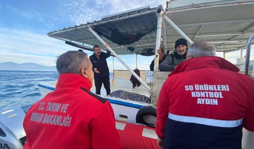 Aydın'da su ürünleri denetimi sürüyor