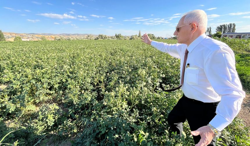 Prof. Dr. Mehmet Haberal, uyarıyor: Üretmeyen aç kalır, başkalarına muhtaç olur
