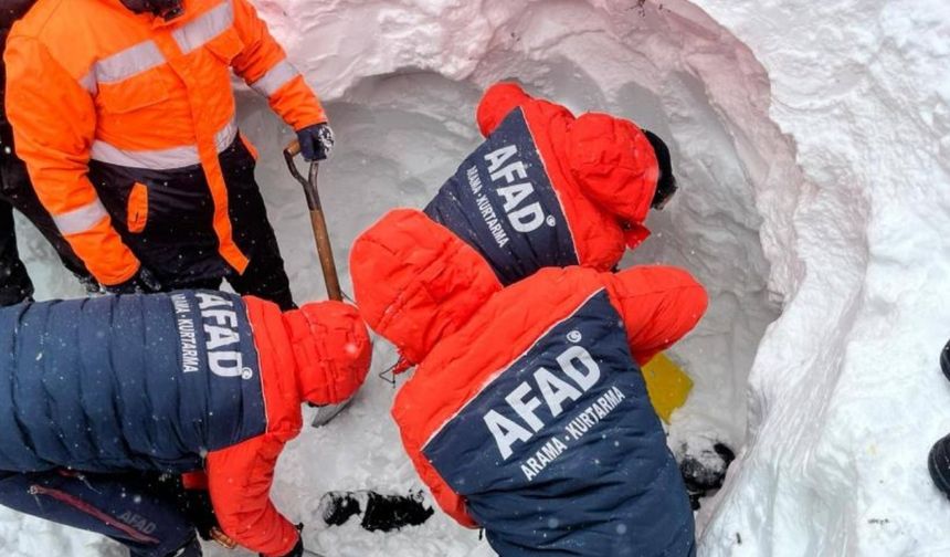 Artvin’de çığda kaybolan çoban 4 gündür aranıyor