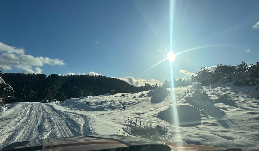 Beypazarı'nın turistik yeri: Eğriova Yaylası