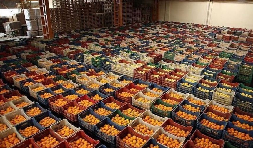 Antalya ihracatının yüzde 57’si tarımdan