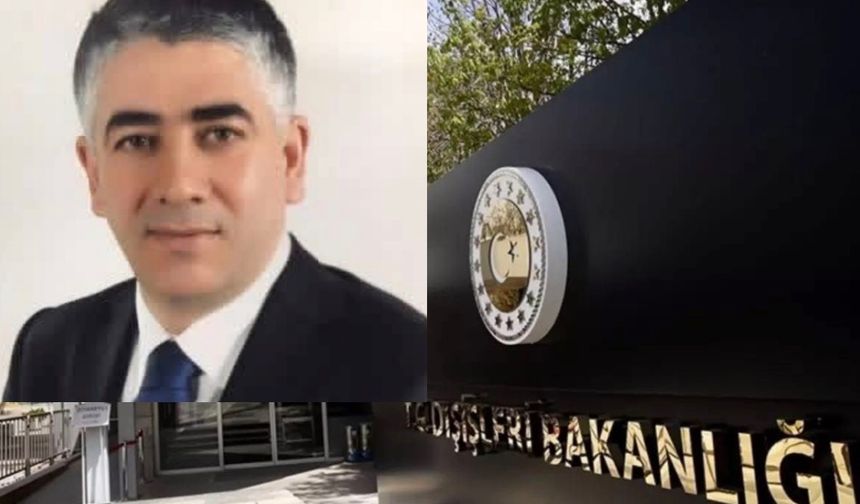 Hacı Ali Özel, Dışişleri bakan yardımcılığına atandı