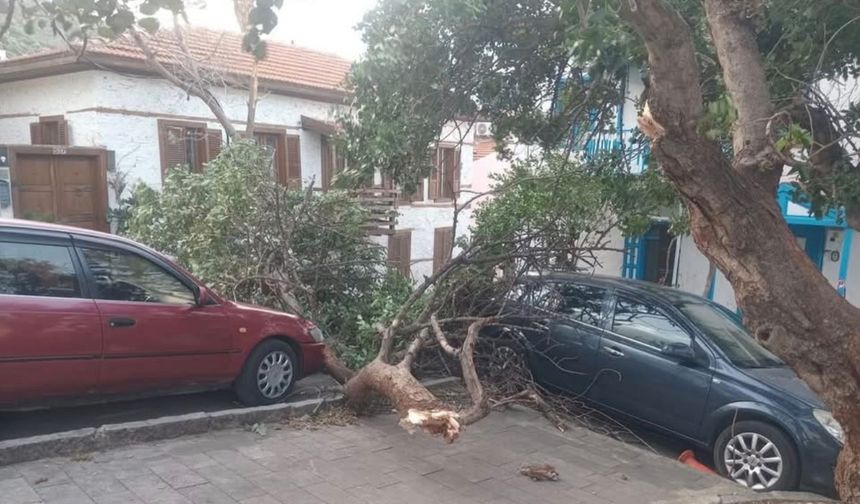 Antalya Kaş’ta fırtınanın izleri gün ağarınca ortaya çıktı