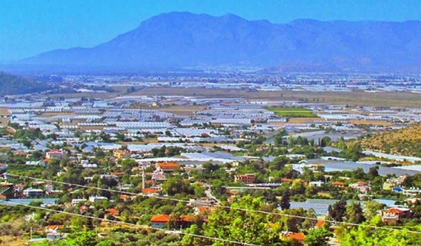 Sahil kesimdeki örtü altı üreticilere soğuk hava uyarısı