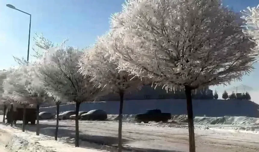 Tufanbeyli'de eksi 15 derecede kartpostallık manzara oluştu