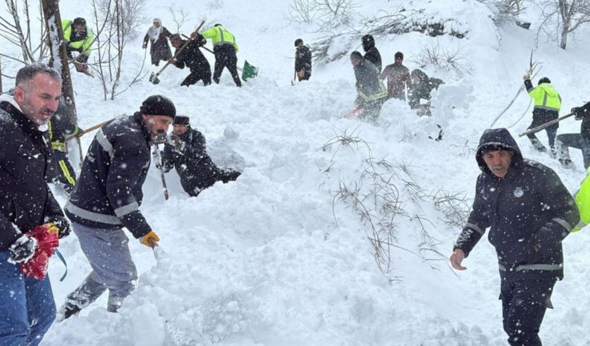 Van’ın Çatak ilçesinde iki mahalleye çığ düştü: Bir kadın çığ altında kaldı