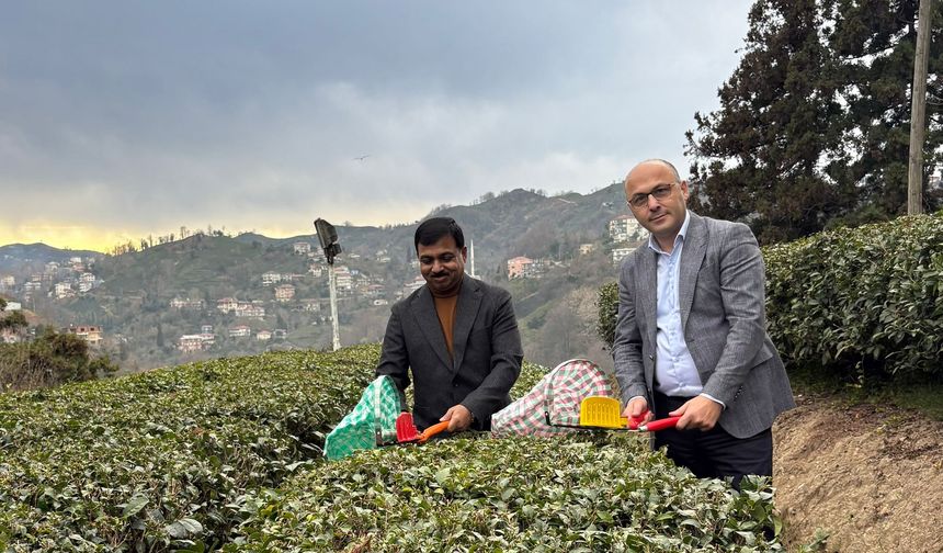 Hindistan’ın Türkiye Büyükelçisi Rize’de: Türkiye’ye gelince günde 7-8 bardak çay içiyorum