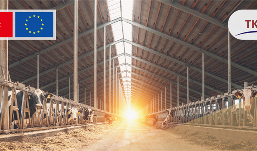 Tarımda, 214 projeye 1,7 milyar lira hibe verilecek