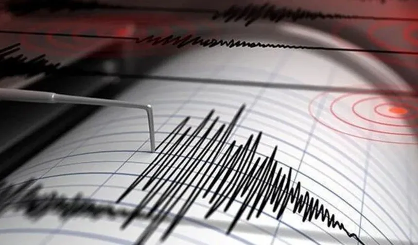 Erzincan'da Endişelendiren Deprem