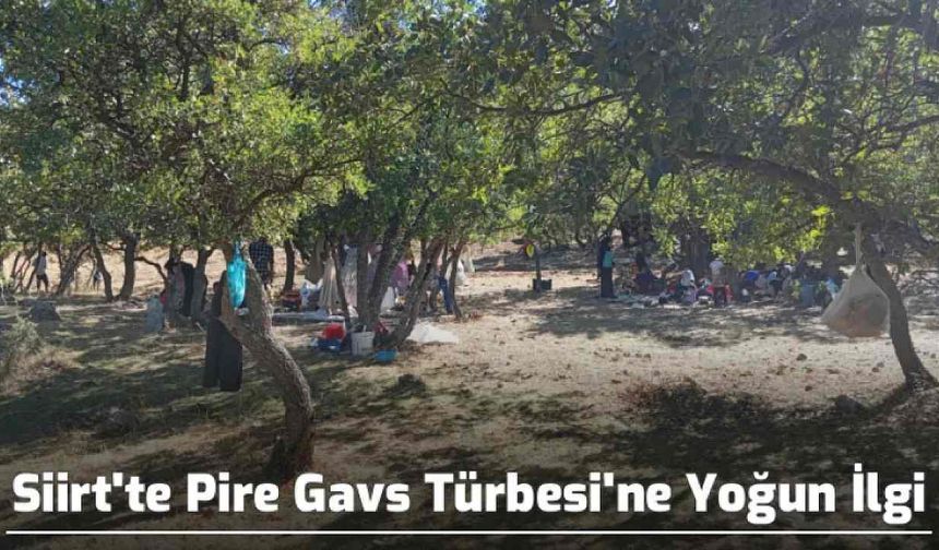 Siirt'te Pire Gavs Türbesi'ne Yoğun İlgi