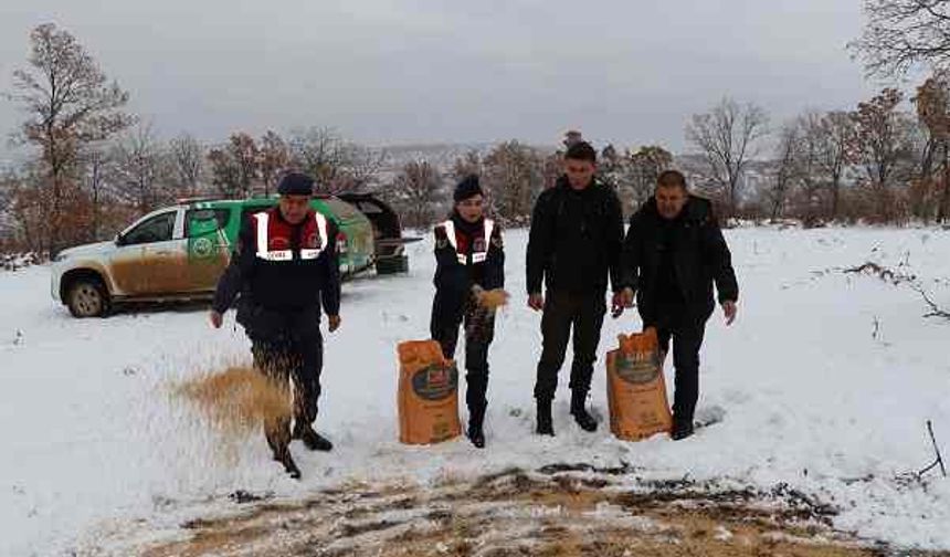 Kırıkkale’de yaban hayvanları için doğaya yem bırakıldı