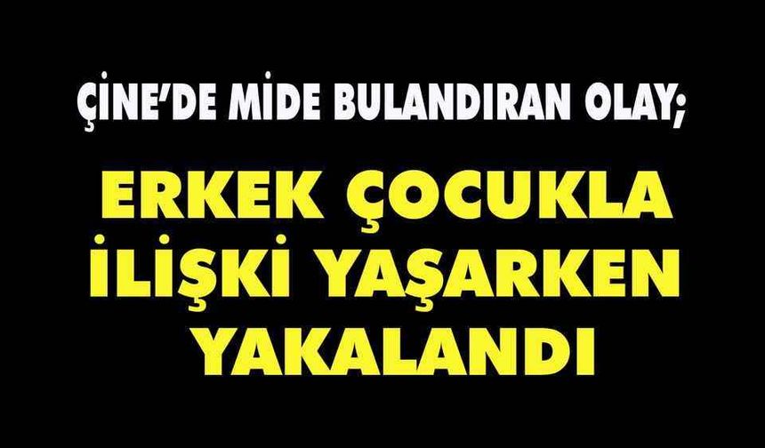 Aydın'da mide bulandıran olay