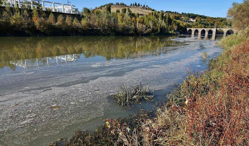 Dicle Nehri ürkütüyor, durum vahim!