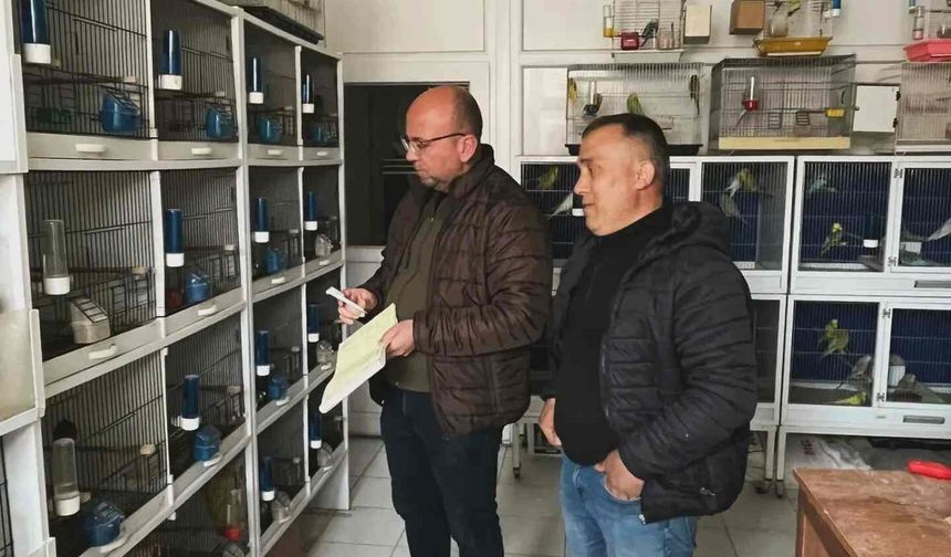 Nevşehir'de petshoplara il genelinde sıkı denetim