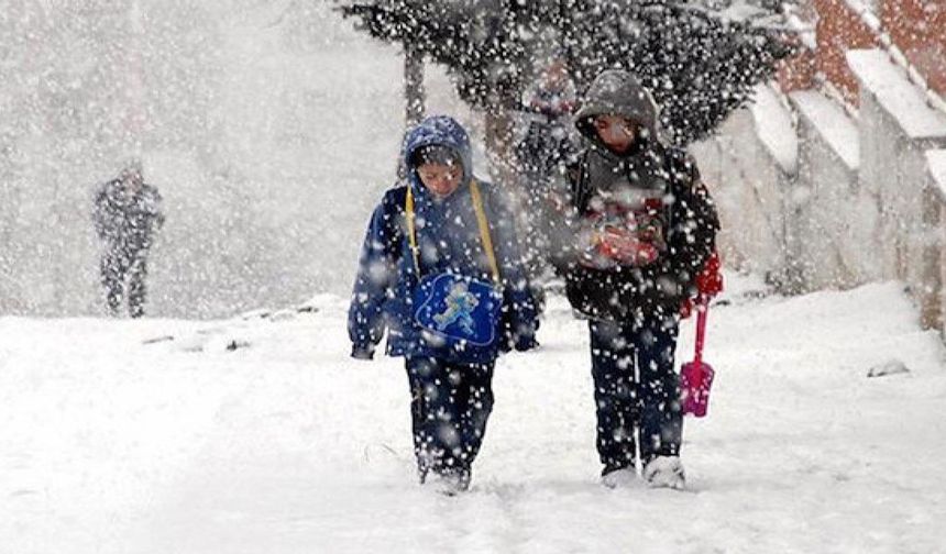 Valilik açıkladı: Van’da okullar tatil edildi!